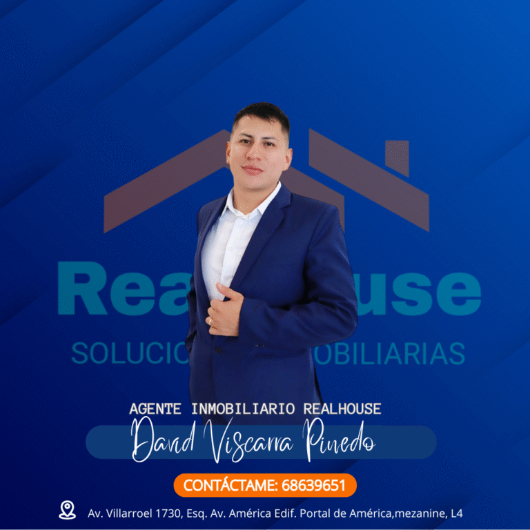 DAVID FERNANDO VISCARRA PINEDO